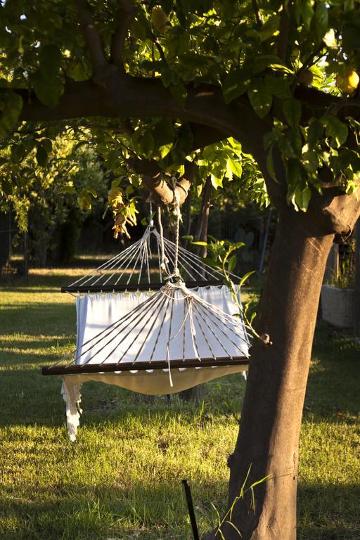 Agriturismo Terrenia Villa ทรัปปิเตลโล ภายนอก รูปภาพ
