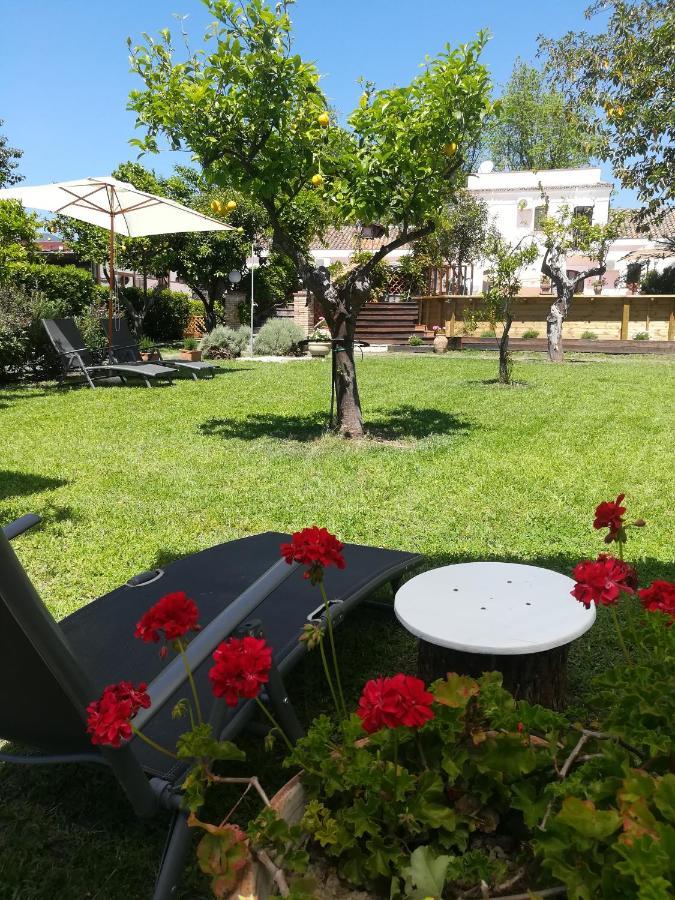 Agriturismo Terrenia Villa ทรัปปิเตลโล ภายนอก รูปภาพ